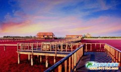 tt µļt P(pn)\tʲôǼtɫ