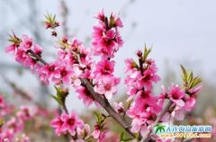 㑺һػB㑺ȼم^ݻ