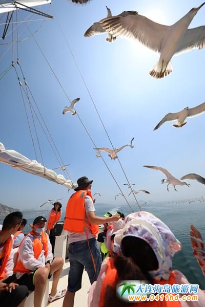 小平島圣汐灣國際游艇俱樂部